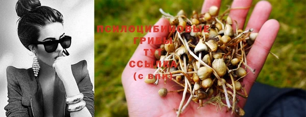 ПСИЛОЦИБИНОВЫЕ ГРИБЫ Балахна
